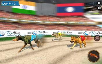 Real Dog Racing Tournament截图2