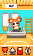 Harry the Hamster - The Virtual Pet Game截图3