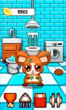 Harry the Hamster - The Virtual Pet Game截图1