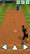 Cricket Batting Challenge截图1