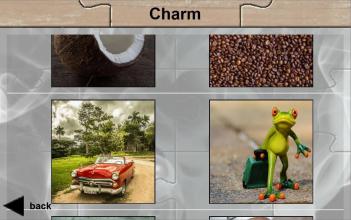 Photo Puzzle 2截图5