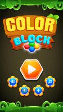 Color Block Puzzle截图4