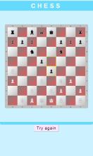 Chess Board Master截图3