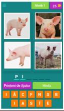 Invata Animalele Joc Educativ截图2