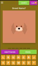 DOG QUIZ - Trivia Game, Guess the Dog Breed截图5