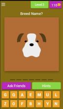 DOG QUIZ - Trivia Game, Guess the Dog Breed截图4