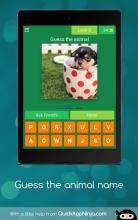 ANIMAL QUIZ Guess the animal's name截图3