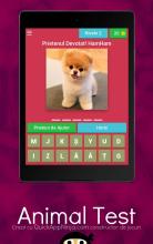 Animal Test - Educativ si Gratis!截图5