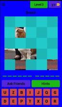 Guess The Puppy 2019截图4