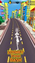 Subway Bunny Toons  Looney Adventure Dash截图3