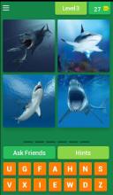Find the animals截图4