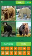 Find the animals截图5