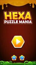 Hexa Puzzle mania截图5