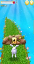 Bunny Run Way截图1