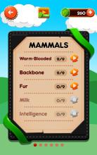 Word Animal Finder, Word Connect Puzzle截图2