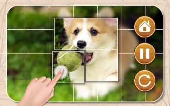 Kids Puzzles  Children's Puzzles截图2