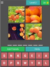 Fruit Quiz  learn English截图5