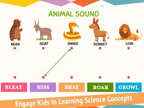 Science Learning Worksheets截图3