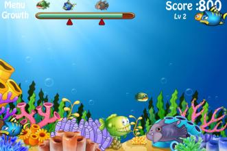 Fish Big Eat Small Fish截图1