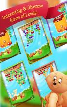 Bubble Pop Adventure  A Bubble Shooter Game截图3