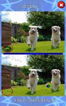 Find the 5 Differences  Spot on puppy截图3