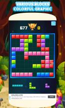 Block Puzzle 2019  Pro Puzzle Game截图5