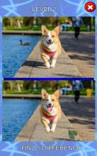 Find the 5 Differences  Spot on puppy截图1