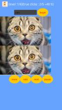 images differences game截图2