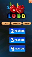 Ludo Fun 2019截图3