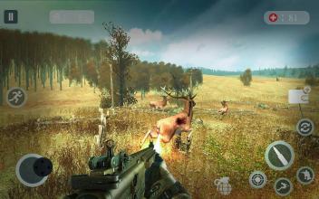 Deer Hunt 2019  Animal Hunting Games截图1