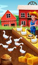 Chicken and Duck Poultry Farming Game截图4