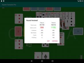 Expert Canasta Pro截图3