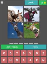 4 Pics 1 Word Animals截图2