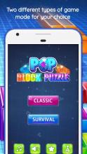 Block Pop Puzzle截图3