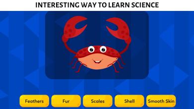 1st Grade Learning Games for Kids截图3