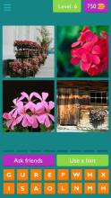 Flower Quiz  Botany Quiz For Adults And Kids截图3