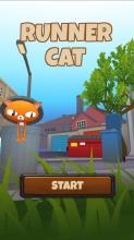 Collect Runner Cats   To Play截图5