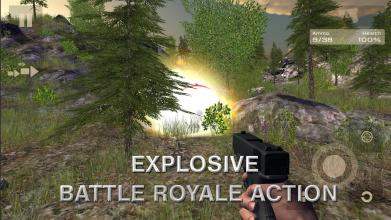 BATTLE ROYALE SIMULATOR  Mobile Edition截图1