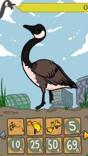 Mr Goose's Dressup截图2