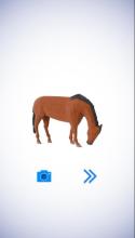 Poly Art Horse Animal 3D Puzzle Roll Polygons Game截图3