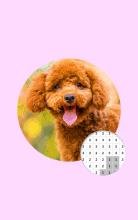 Dog Photography Color By Number Pixel Art截图2