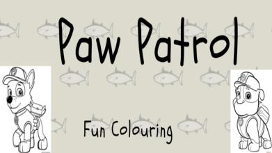 Paw Patrol Fun Colouring截图2