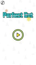 Perfect Cut截图5