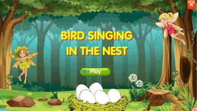 BIRD SINGING IN THE NEST截图2