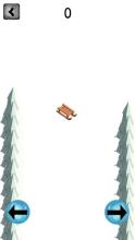 Sled Snow - christmas game截图1