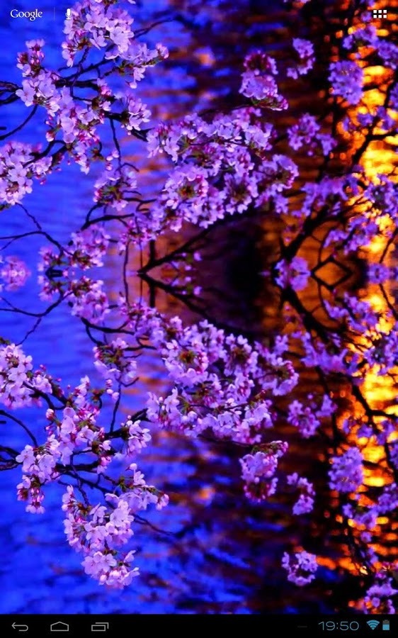 3D Kyoto Evening Sakura Free截图7