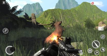 Deer Hunting Games 2019  Animal Hunting截图3