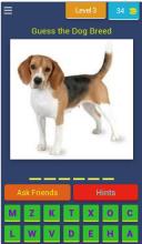 Guess The Dog Breed截图4