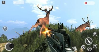 Deer Hunting Games 2019  Animal Hunting截图4