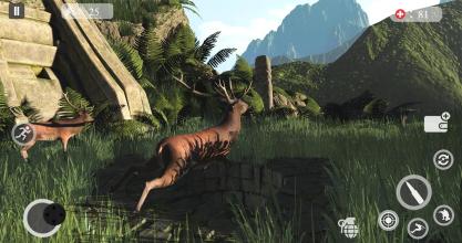 Deer Hunting Games 2019  Animal Hunting截图2